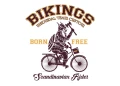 bikings_wzor_d_948x687