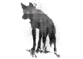 lone_wolf_d_wzor_948x687.jpg